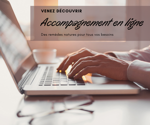 Accompagnement en ligne  rapide 30 min avec Nathalie Fournier